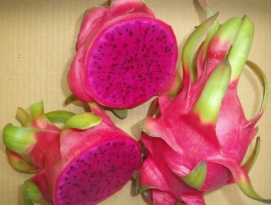 Dragon fruit red flesh