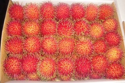 Rambutan