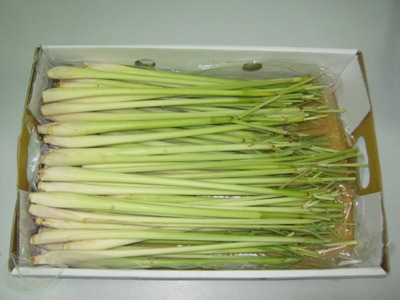 Lemongrass