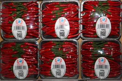 Chillies - Rawit