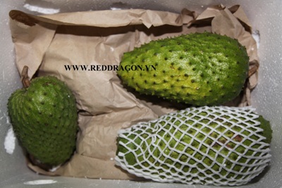 Soursop