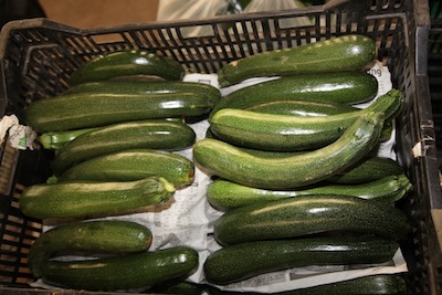 Zucchini