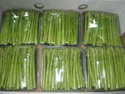 Asparagus